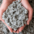 The Colony Cellulose Insulation Services by Pruf LLC